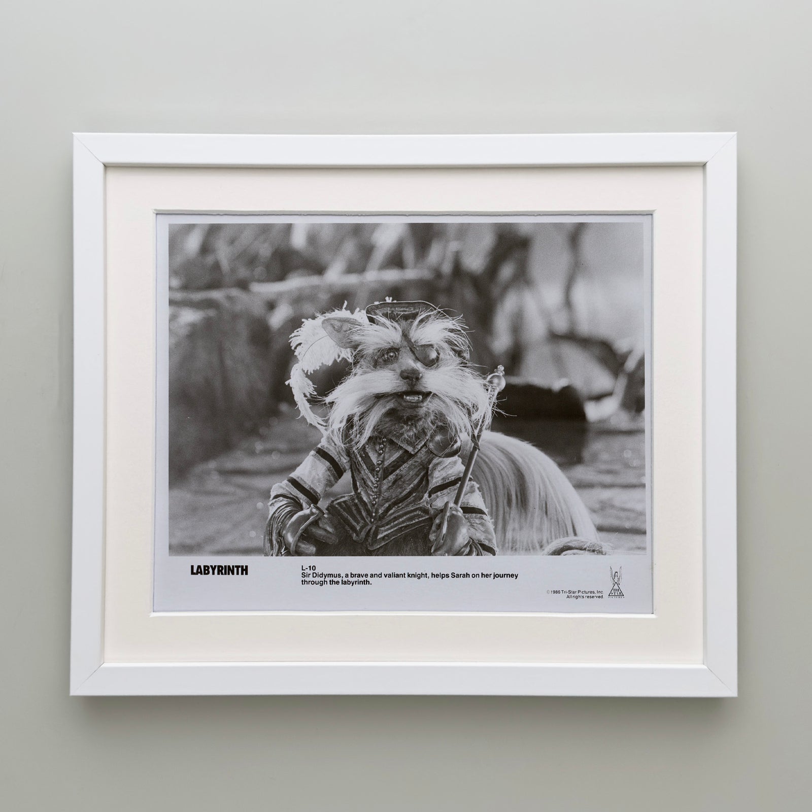 Labyrinth 1986 Publicity Film Movie Press Still Framed