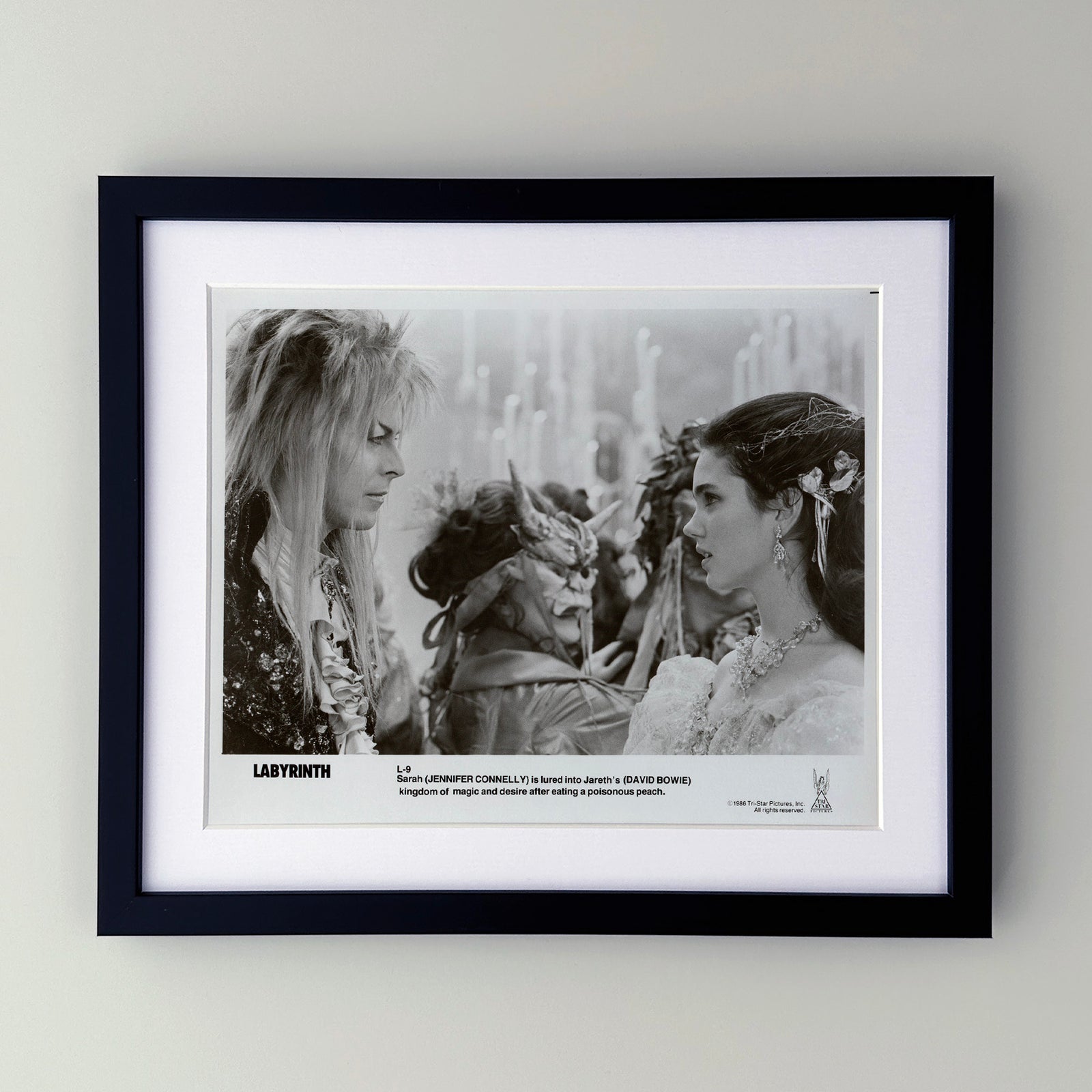 Labyrinth 1986 Publicity Film Movie Press Still Framed