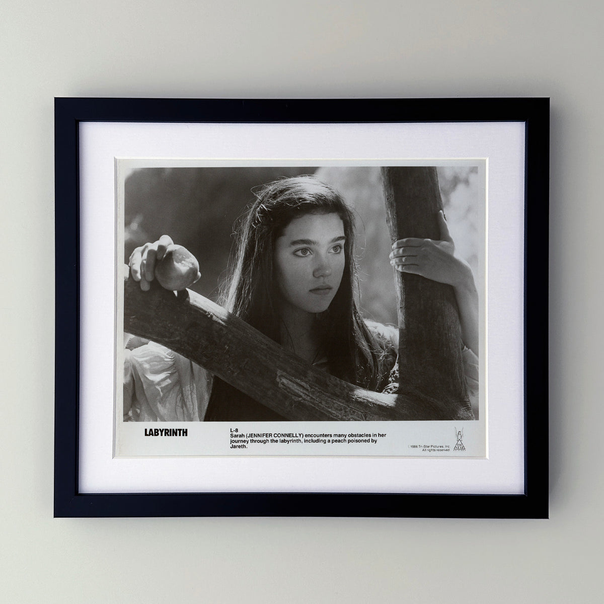 Labyrinth 1986 Publicity Film Movie Press Still Framed