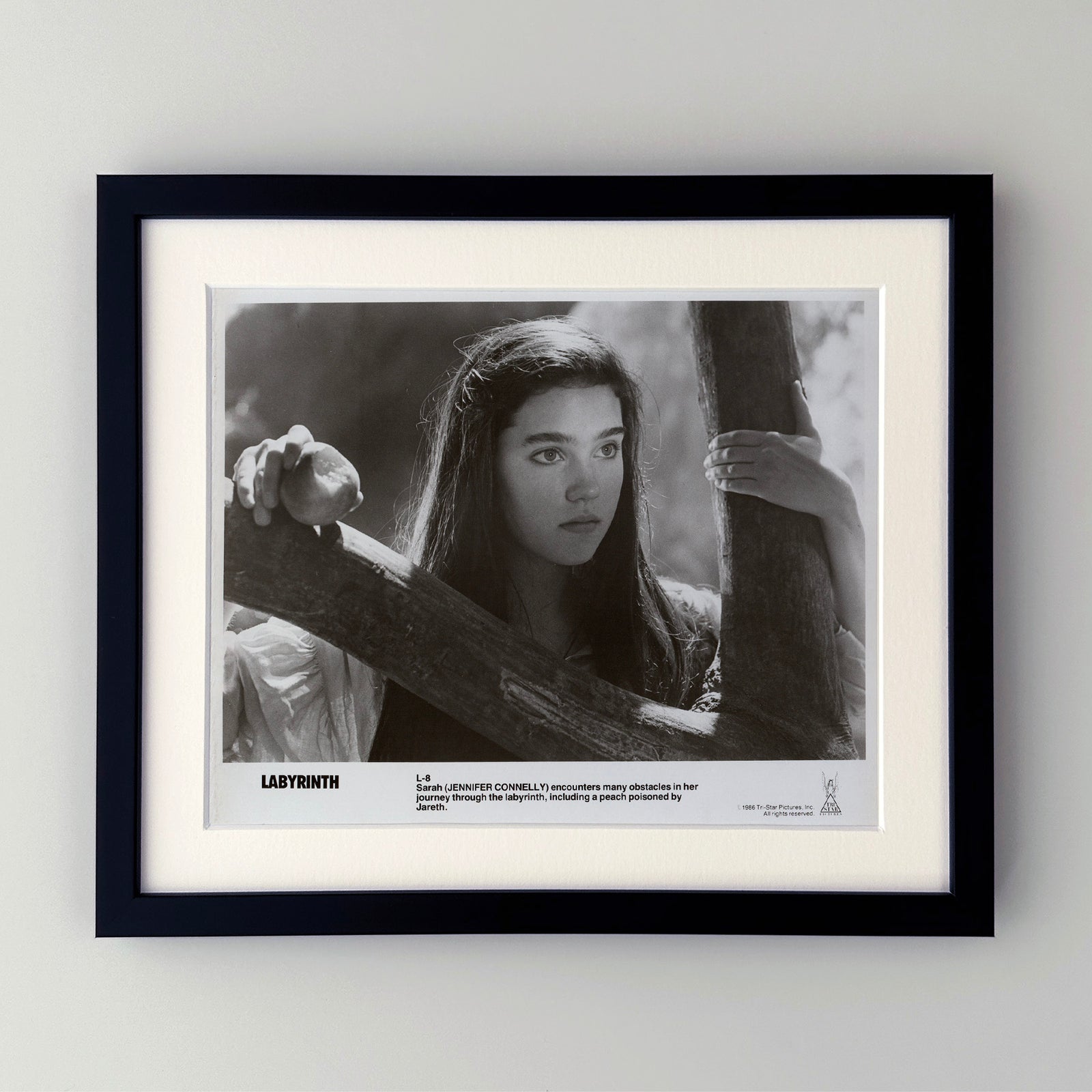 Labyrinth 1986 Publicity Film Movie Press Still Framed