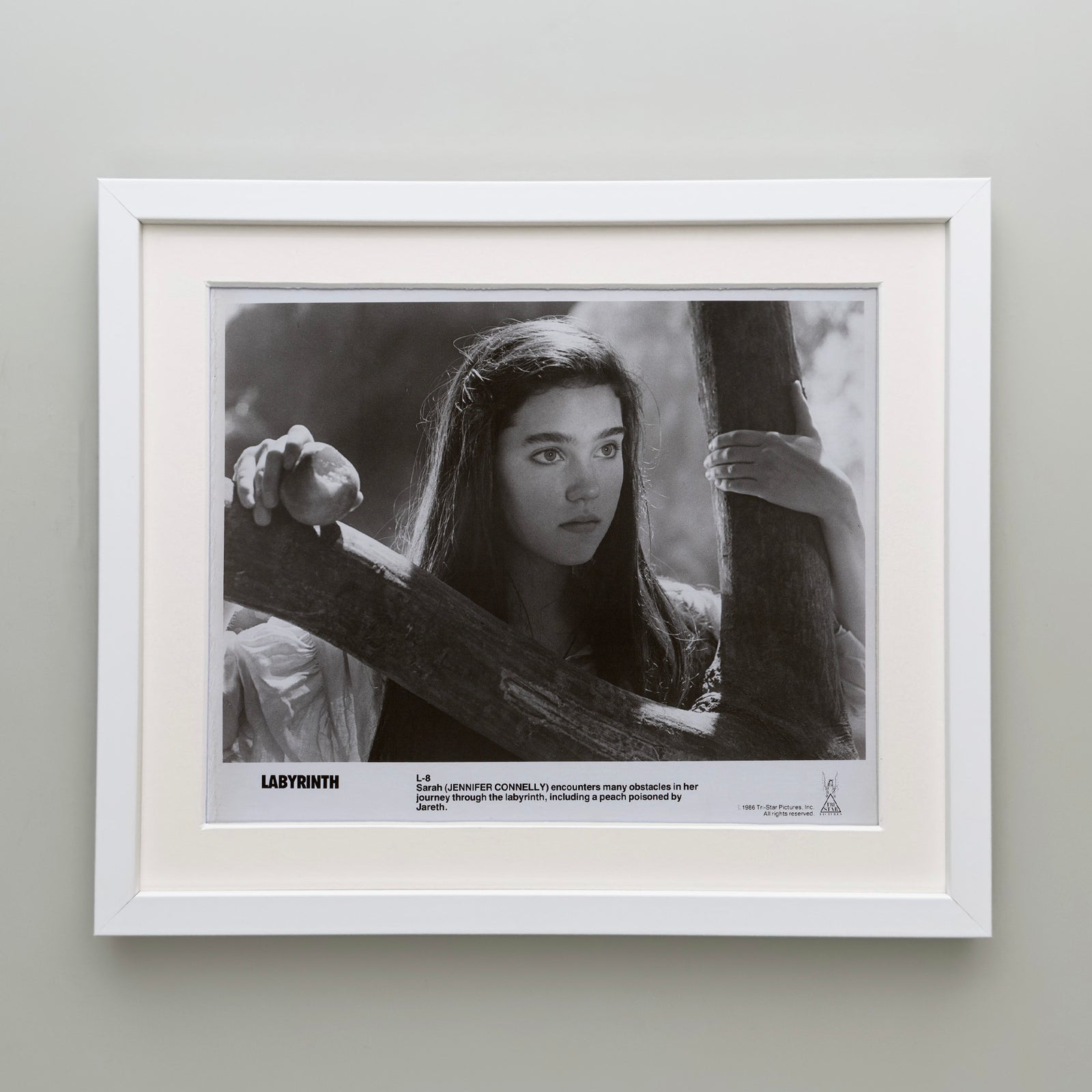 Labyrinth 1986 Publicity Film Movie Press Still Framed