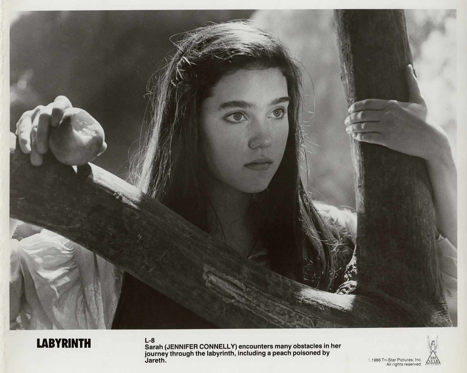 Labyrinth 1986 Publicity Film Movie Press Still Framed