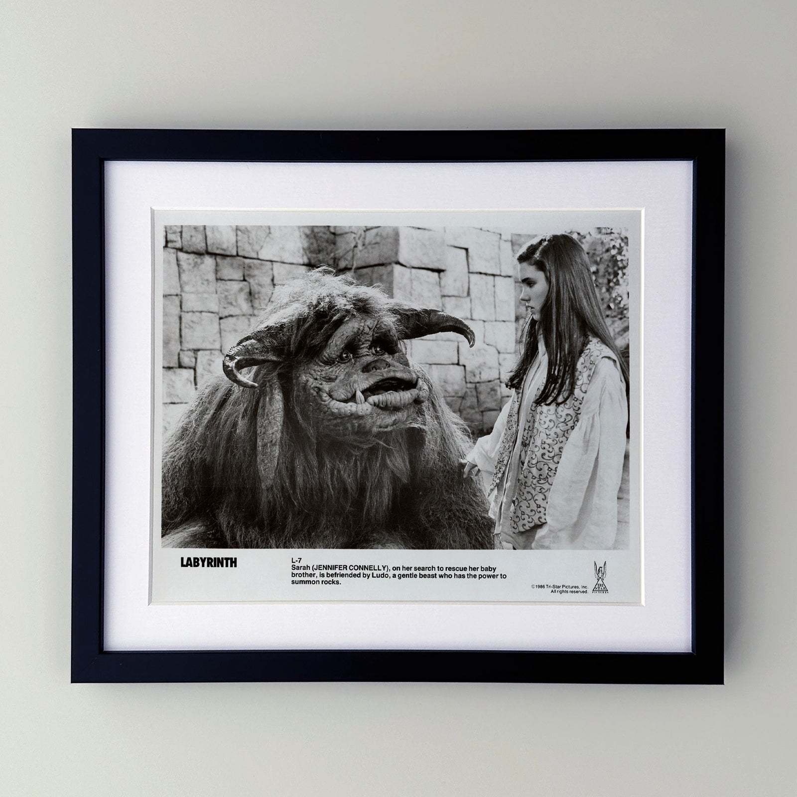 Labyrinth 1986 Publicity Film Movie Press Still Framed