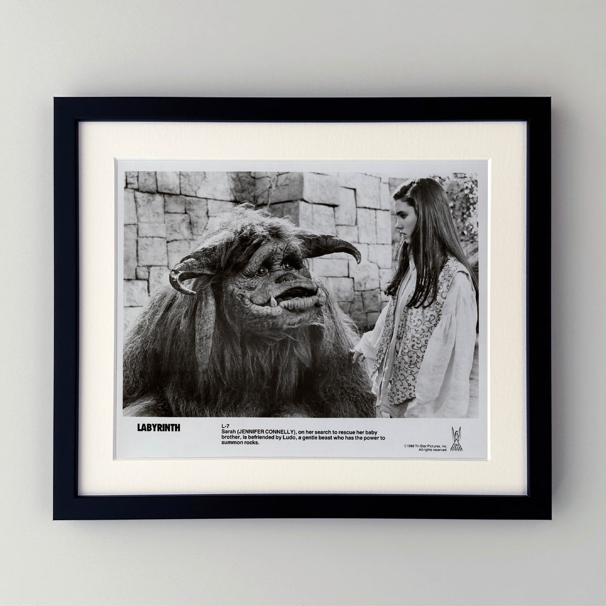 Labyrinth 1986 Publicity Film Movie Press Still Framed