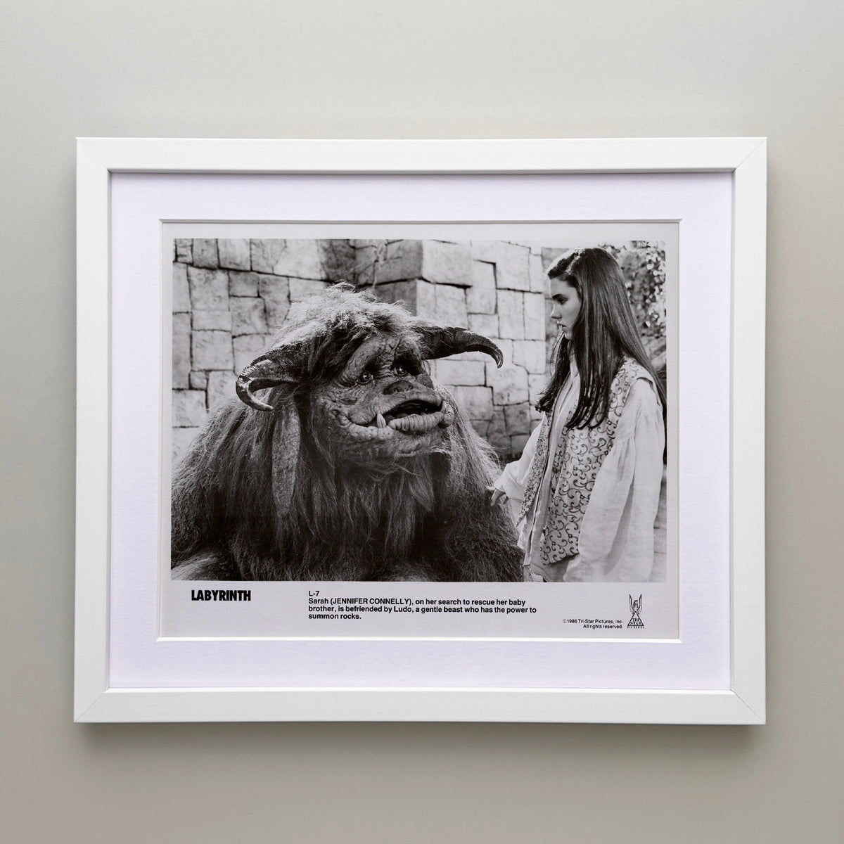 Labyrinth 1986 Publicity Film Movie Press Still Framed