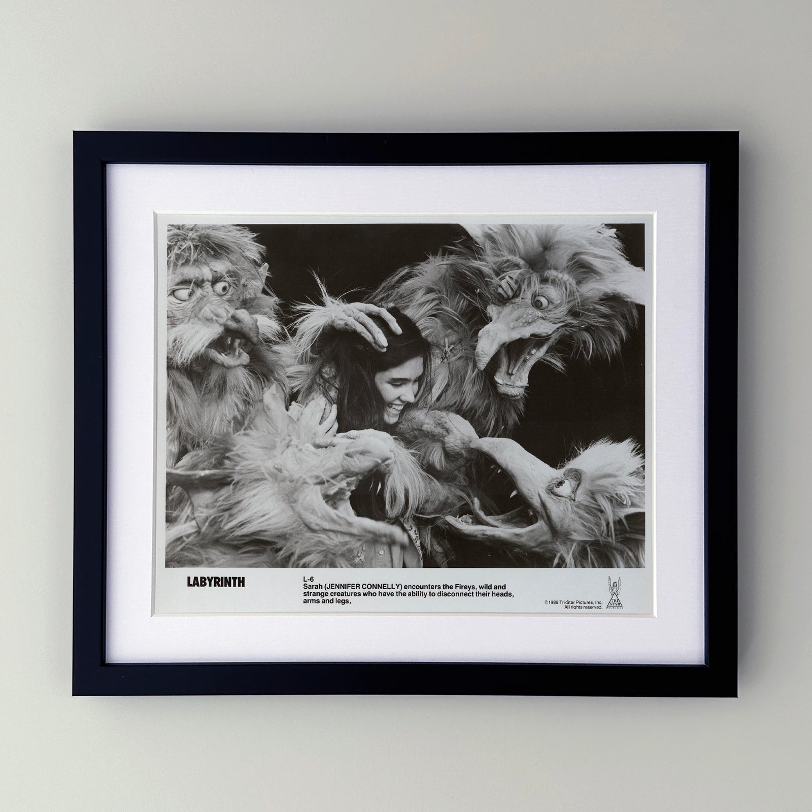 Labyrinth 1986 Publicity Film Movie Press Still Framed