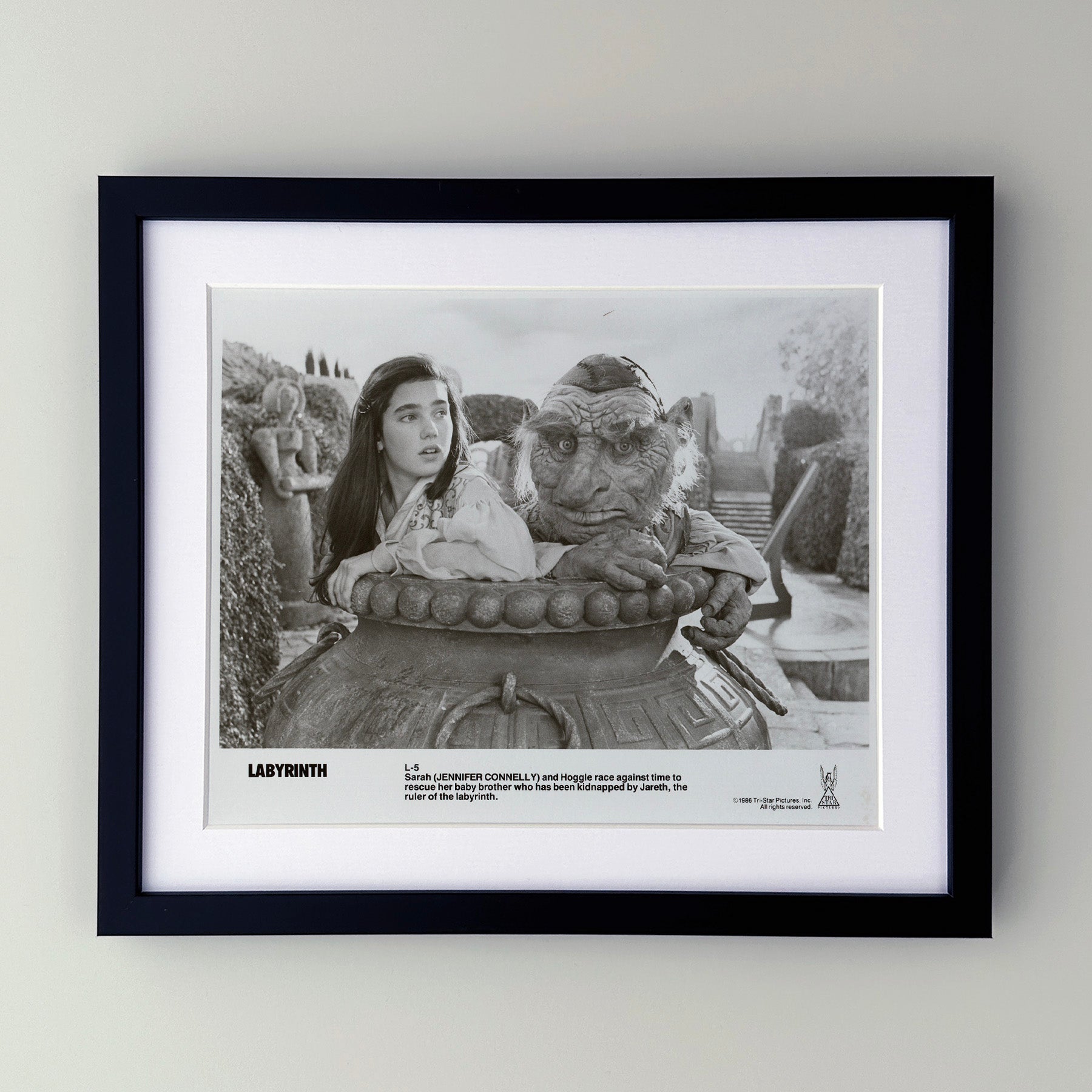 Labyrinth 1986 Publicity Film Movie Press Still Framed