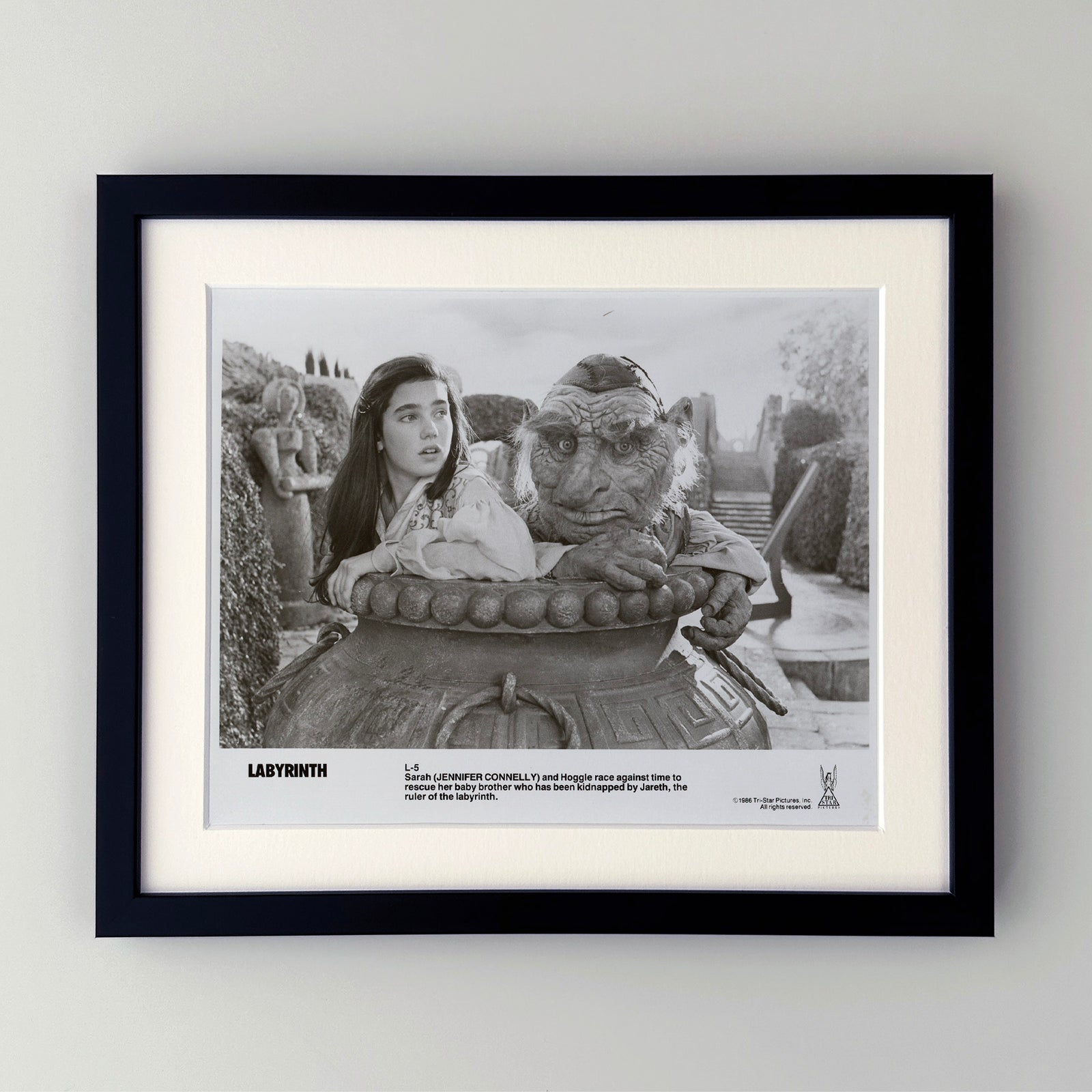 Labyrinth 1986 Publicity Film Movie Press Still Framed