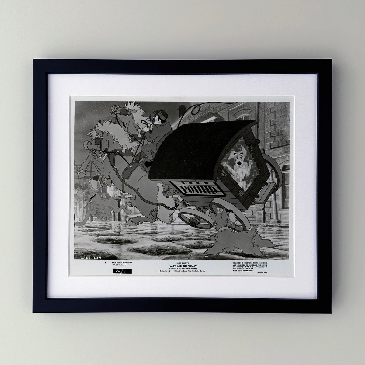 Lady and the Tramp (1955) Film Movie Press Publicity Still Framed
