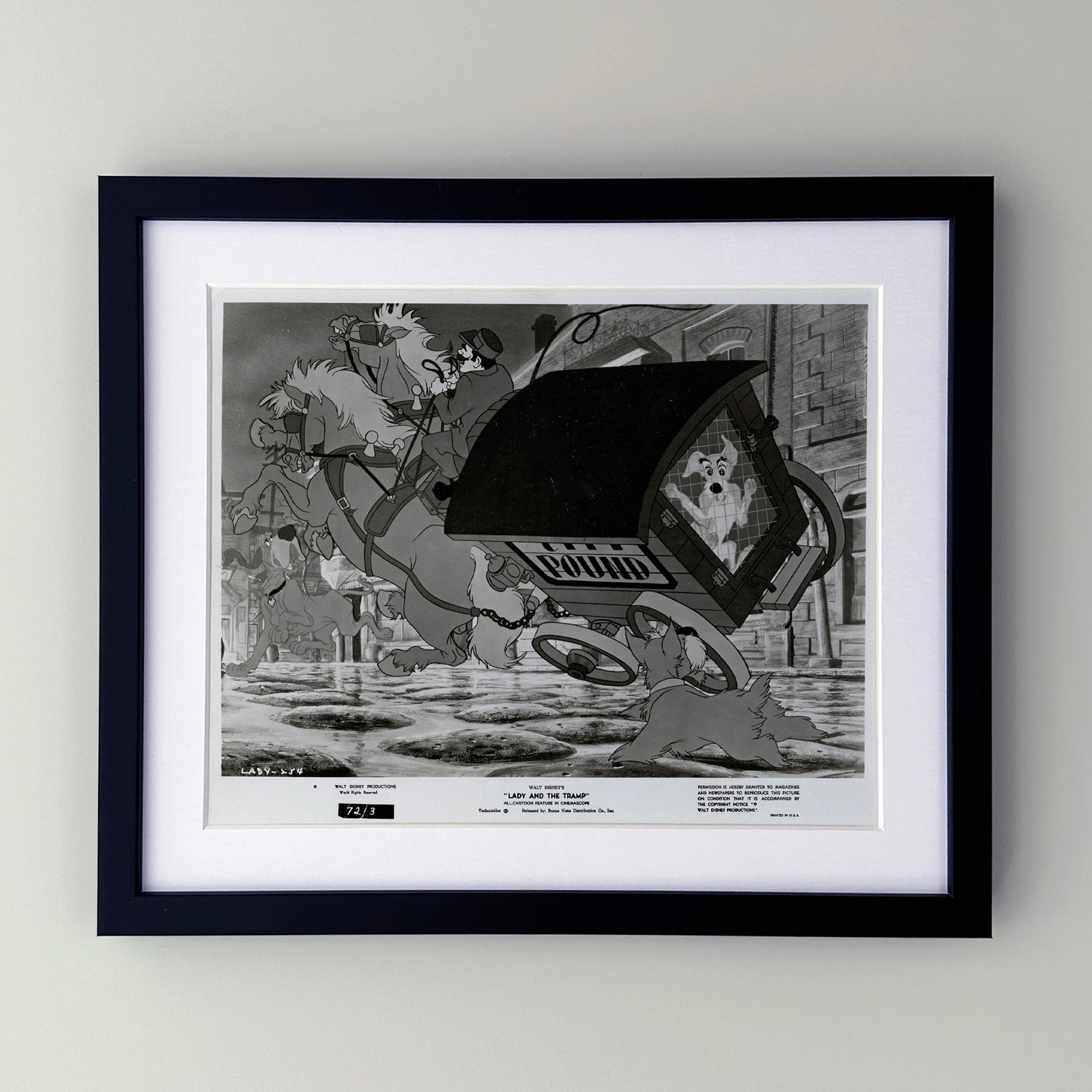 Lady and the Tramp (1955) Film Movie Press Publicity Still Framed