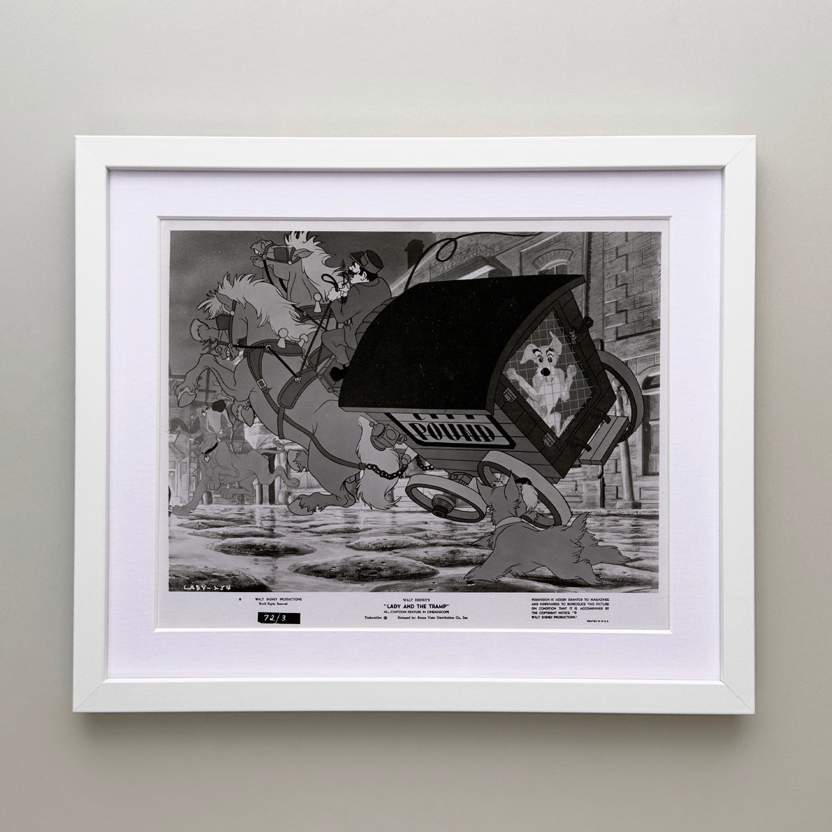 Lady and the Tramp (1955) Film Movie Press Publicity Still Framed
