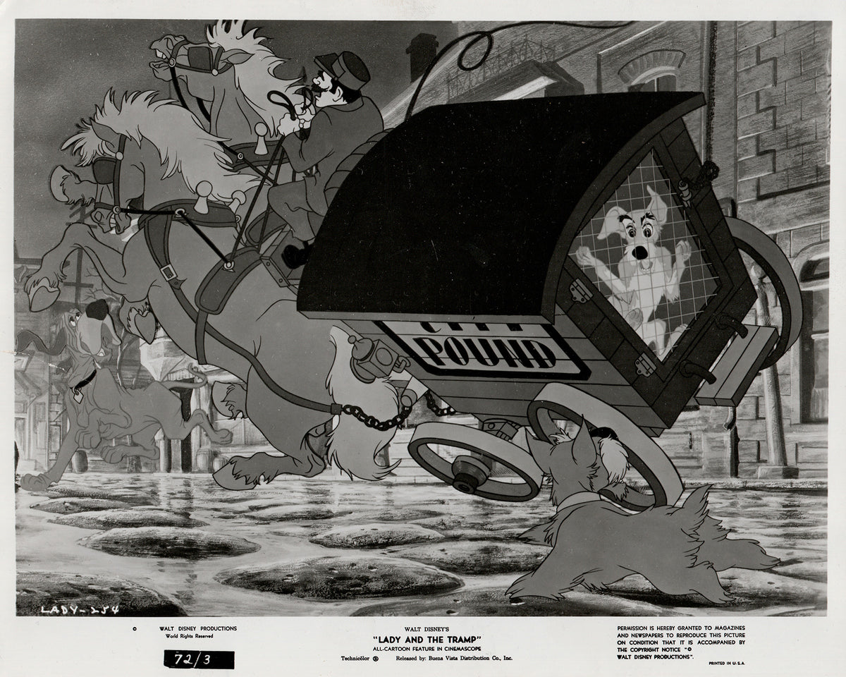 Lady and the Tramp (1955) Film Movie Press Publicity Still Framed