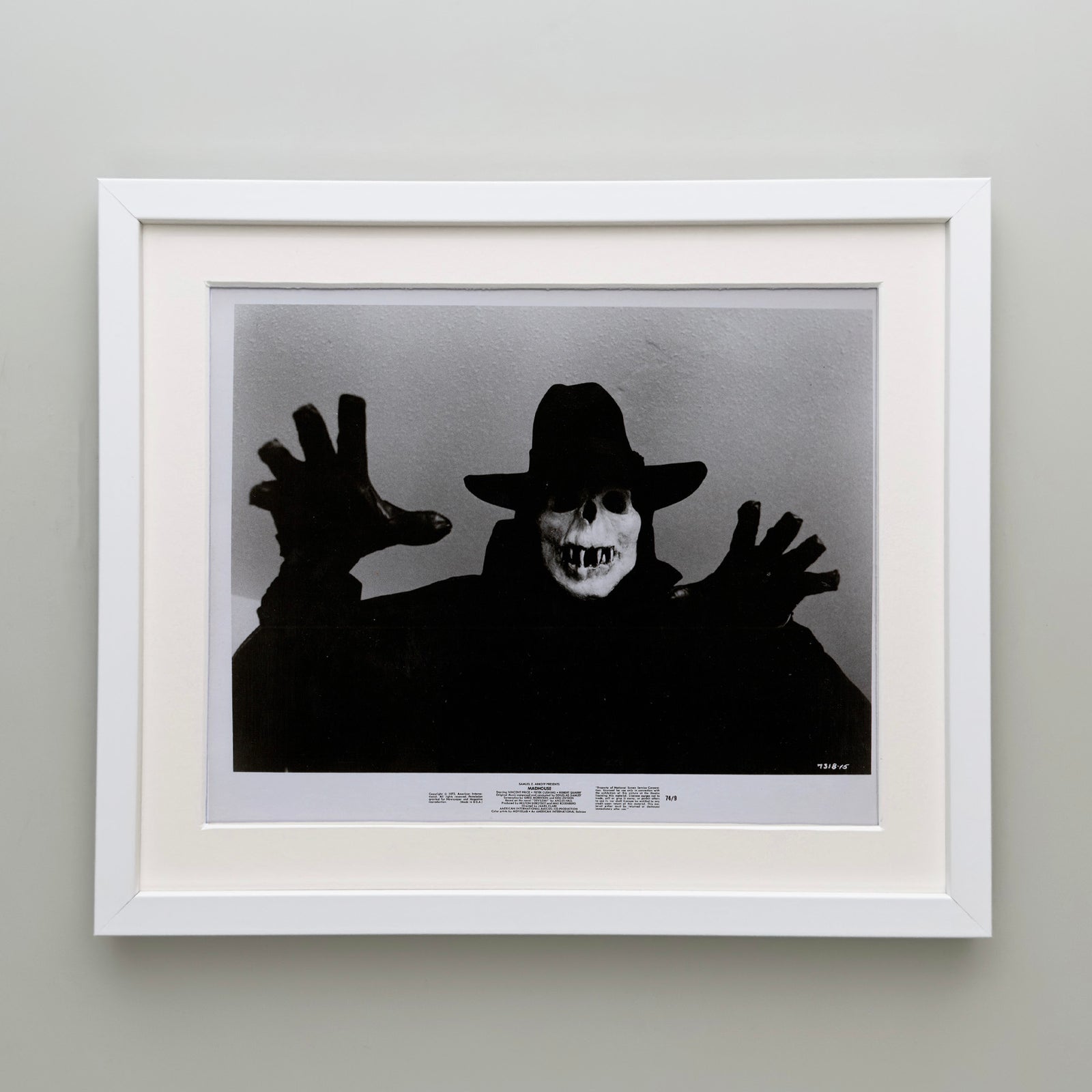 Madhouse 1974 Film Movie Press Publicity Still Framed