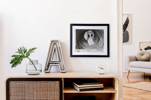 Peter Pan 1953 Film Movie Press Publicity Still Framed