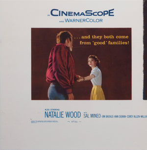 rebel without a cause 1955 us 1 sheet film movie poster - detail