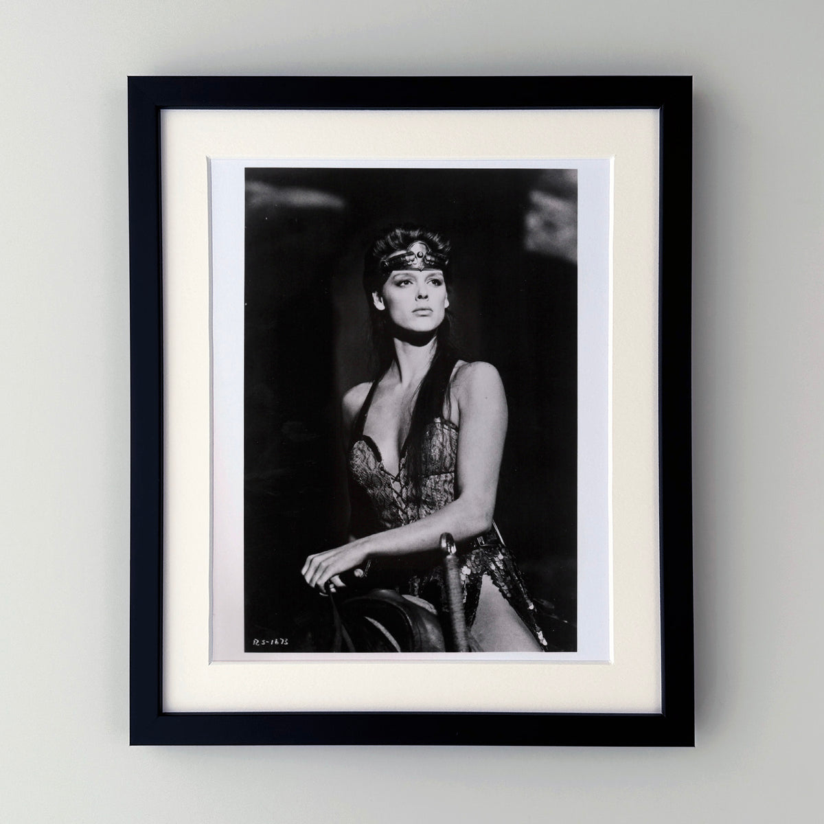 Red Sonja 1985 Publicity Film Movie Press Still Framed