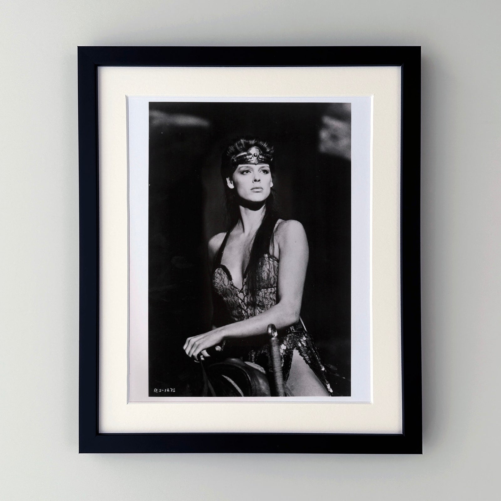 Red Sonja 1985 Publicity Film Movie Press Still Framed