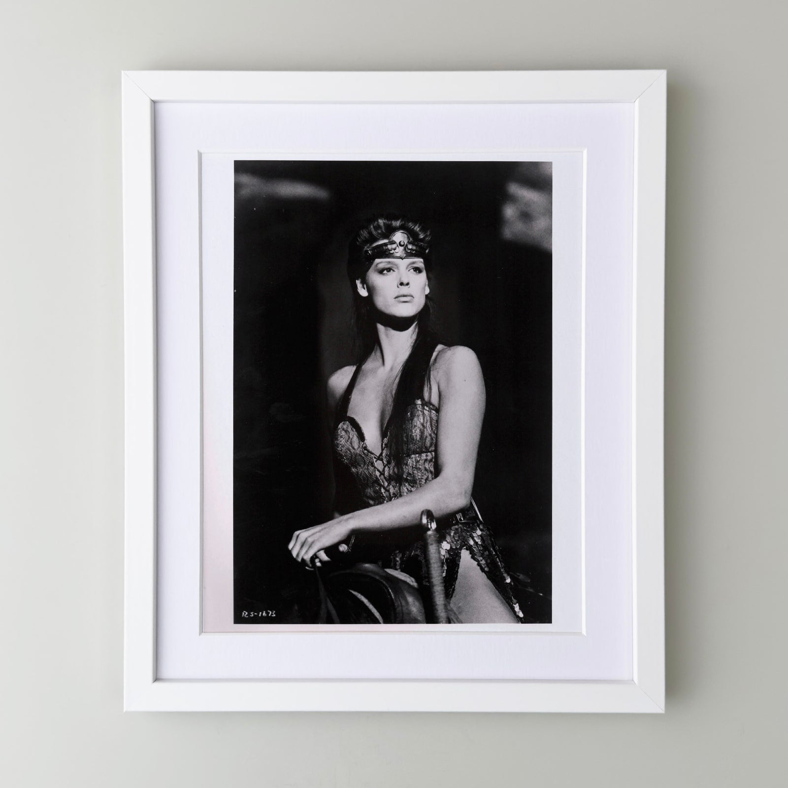 Red Sonja 1985 Publicity Film Movie Press Still Framed