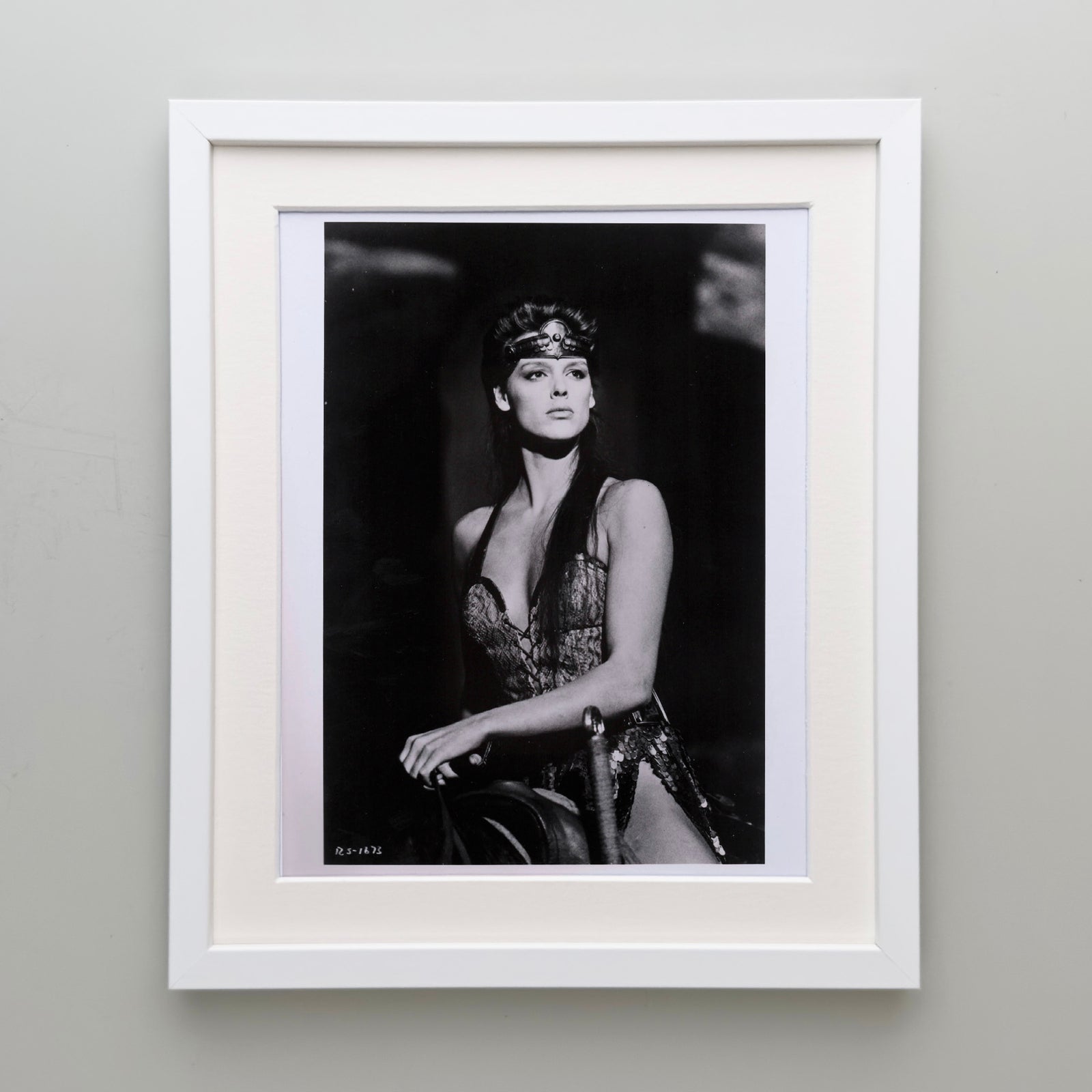 Red Sonja 1985 Publicity Film Movie Press Still Framed