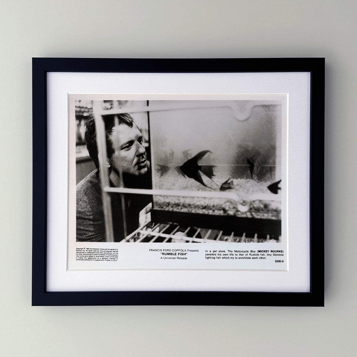 Rumble Fish 1983 Publicity Film Movie Press Still Framed