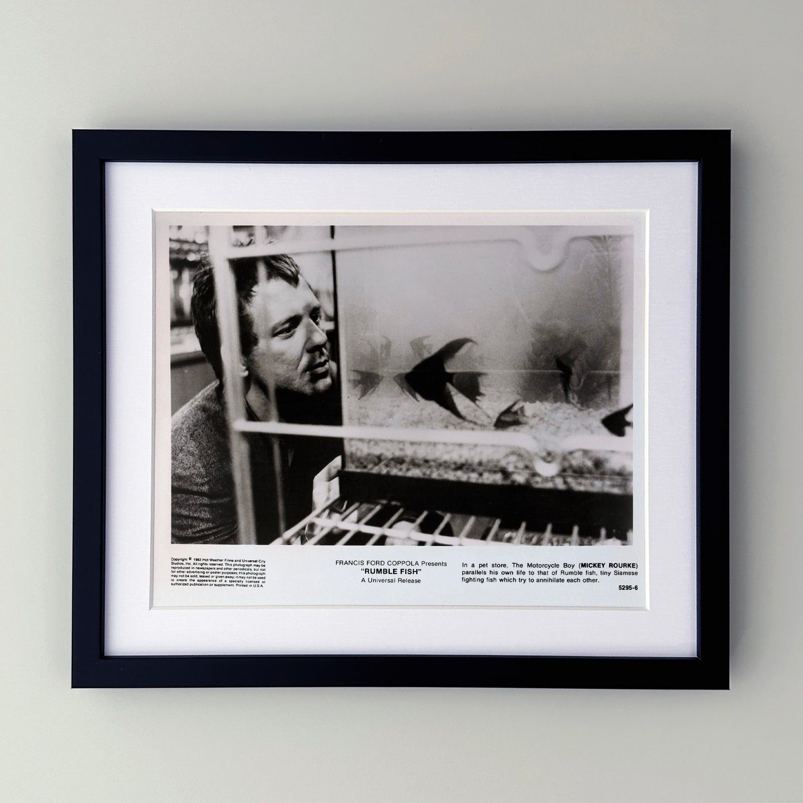 Rumble Fish 1983 Publicity Film Movie Press Still Framed