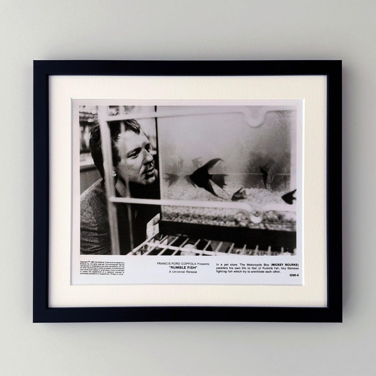 Rumble Fish 1983 Publicity Film Movie Press Still Framed