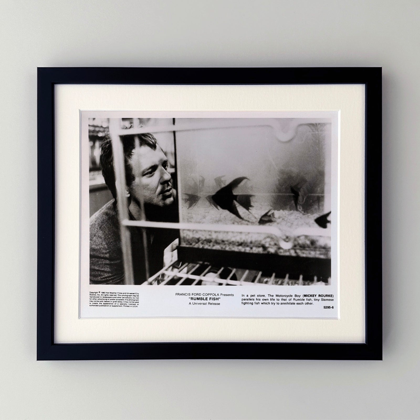 Rumble Fish 1983 Publicity Film Movie Press Still Framed