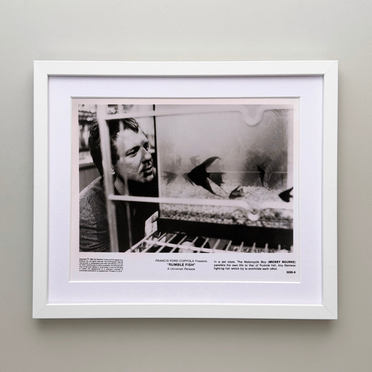 Rumble Fish 1983 Publicity Film Movie Press Still Framed