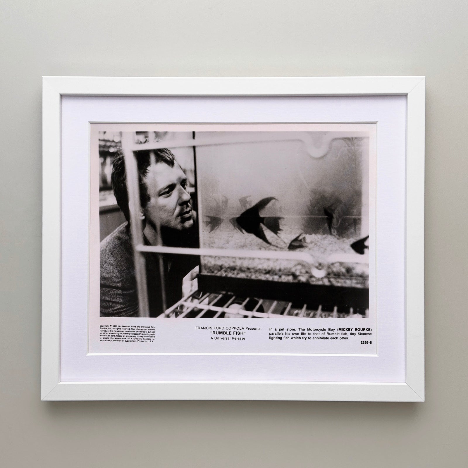 Rumble Fish 1983 Publicity Film Movie Press Still Framed