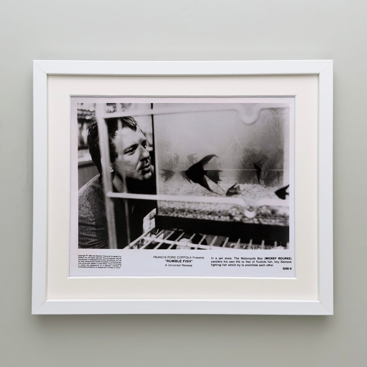 Rumble Fish 1983 Publicity Film Movie Press Still Framed