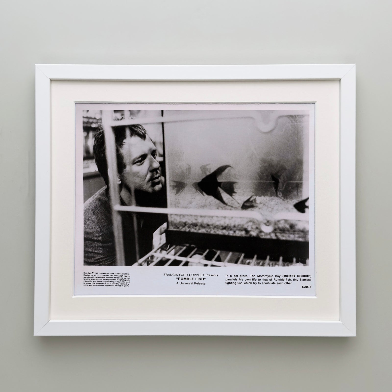 Rumble Fish 1983 Publicity Film Movie Press Still Framed