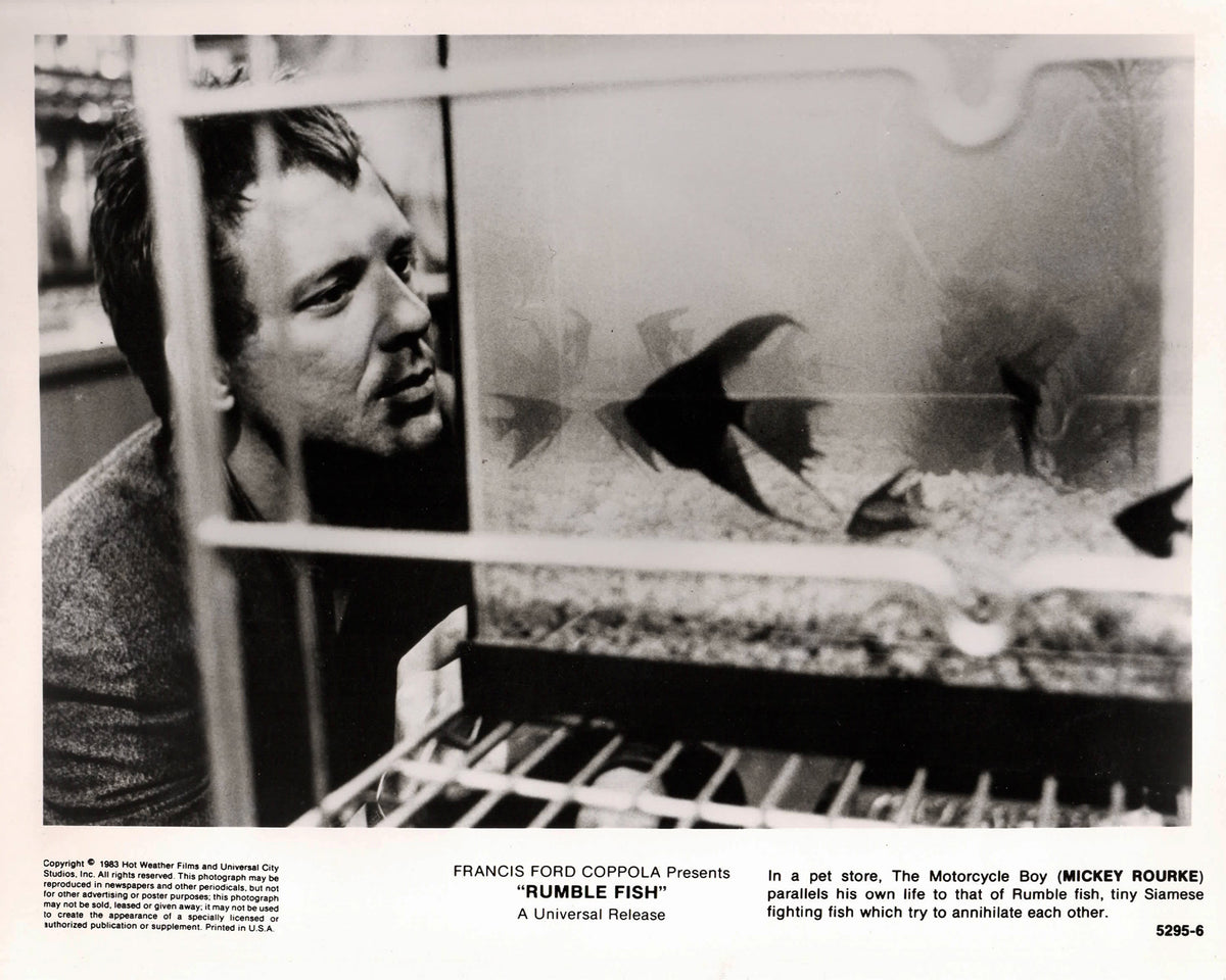 Rumble Fish 1983 Publicity Film Movie Press Still Framed