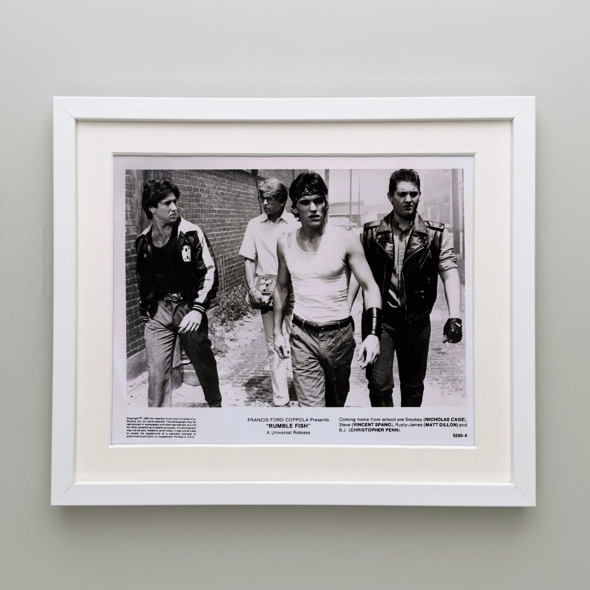 Rumble Fish 1983 Publicity Film Movie Press Still Framed