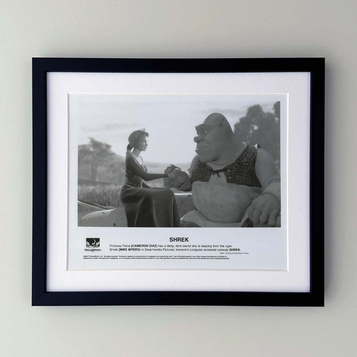 Shrek 2001 Film Movie Press Publicity Still Framed