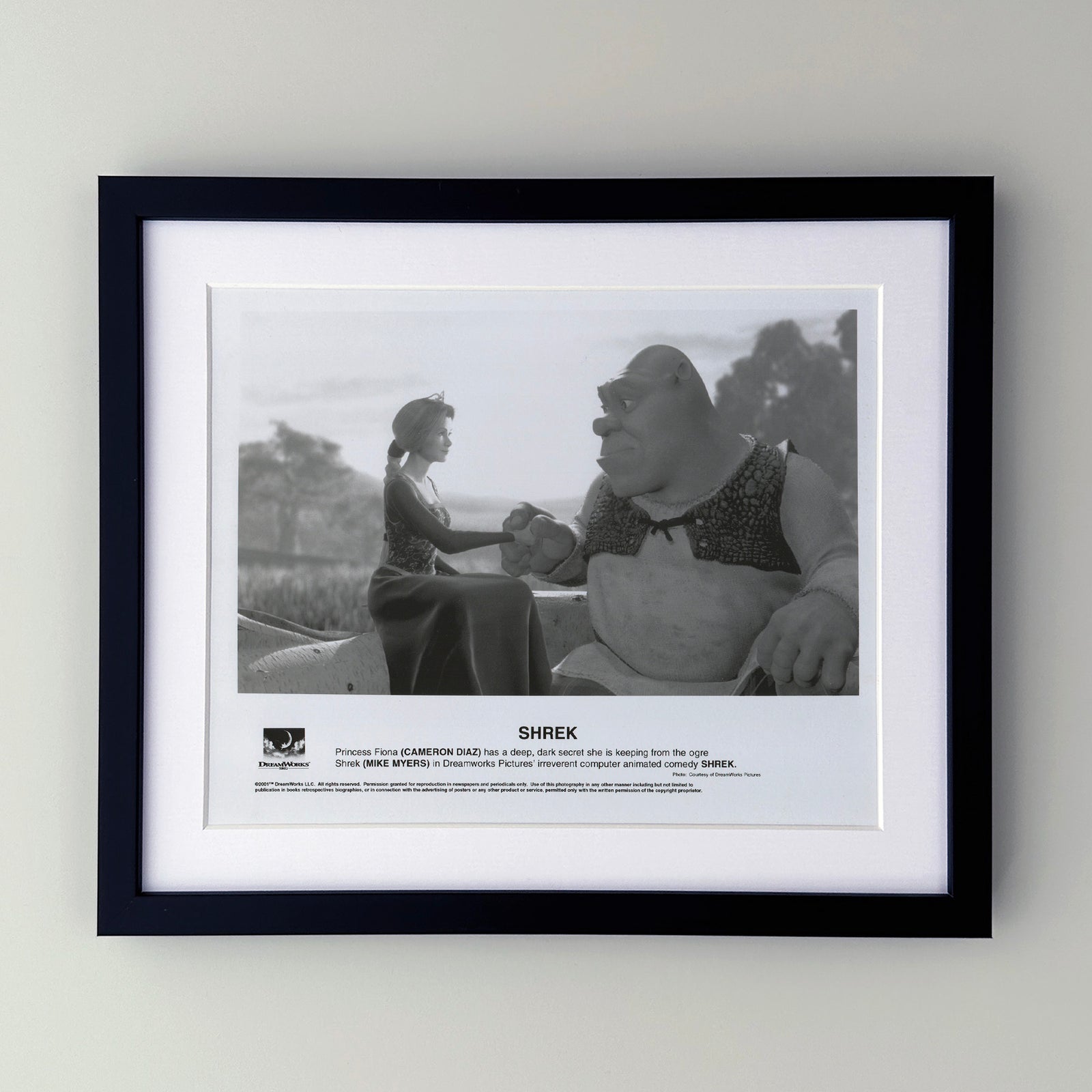 Shrek 2001 Film Movie Press Publicity Still Framed