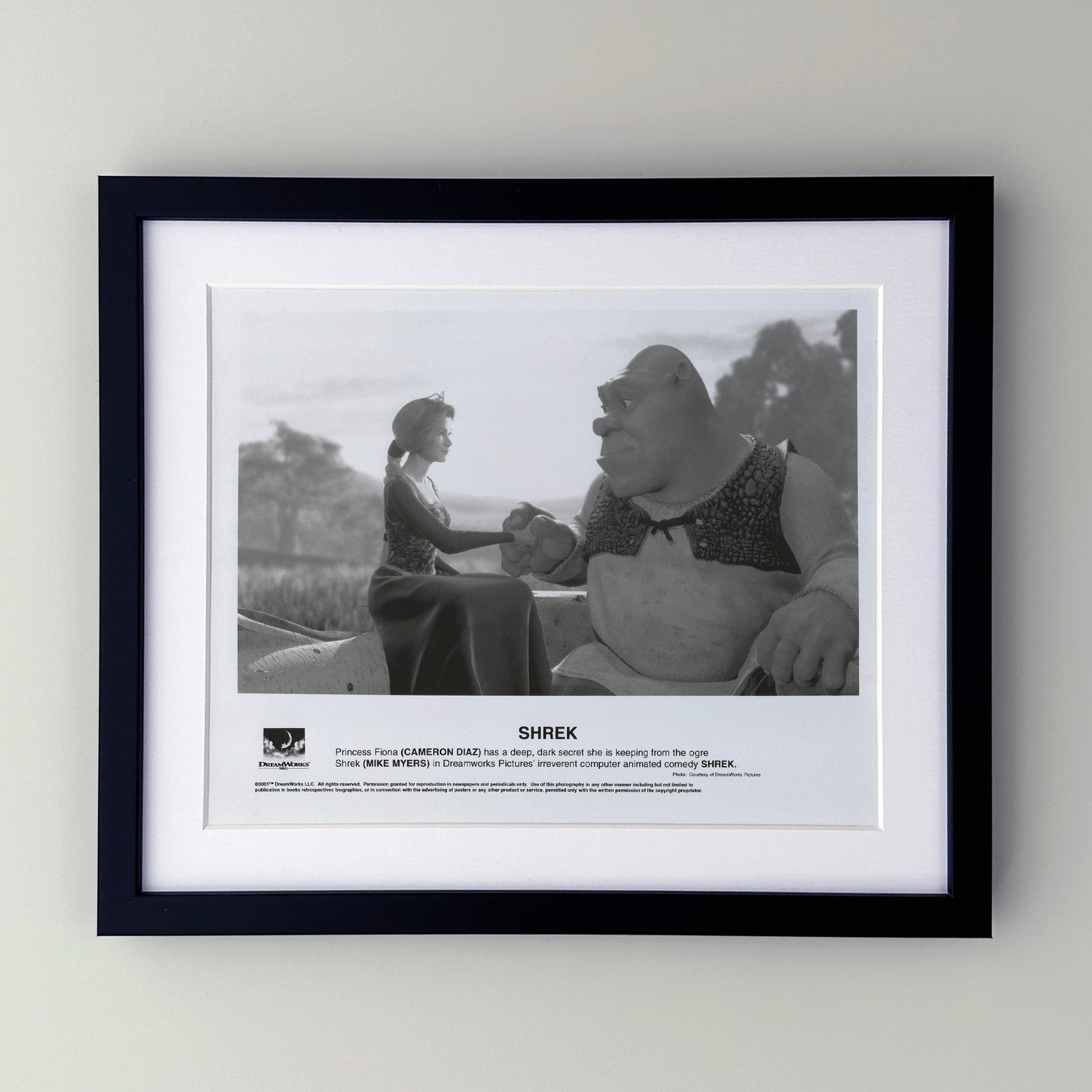 Shrek 2001 Film Movie Press Publicity Still Framed