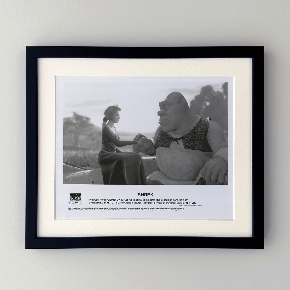 Shrek 2001 Film Movie Press Publicity Still Framed