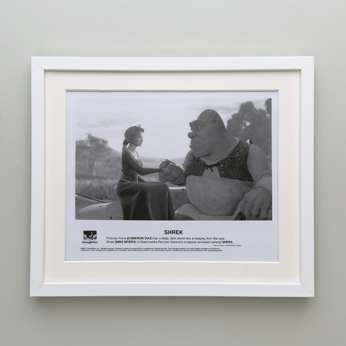 Shrek 2001 Film Movie Press Publicity Still Framed