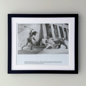 Sinbad and the Eye of the Tiger 1977 Film Movie Press Publicity Still Framed