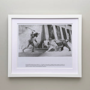 Sinbad and the Eye of the Tiger 1977 Film Movie Press Publicity Still Framed