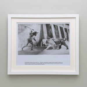 Sinbad and the Eye of the Tiger 1977 Film Movie Press Publicity Still Framed