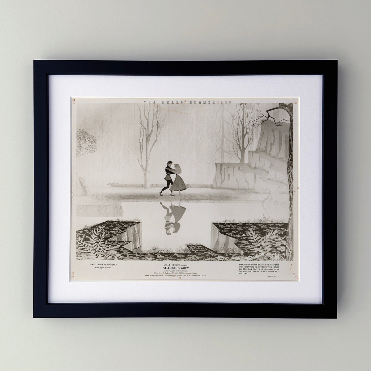 Sleeping Beauty 1959 Film Movie Press Publicity Still Framed