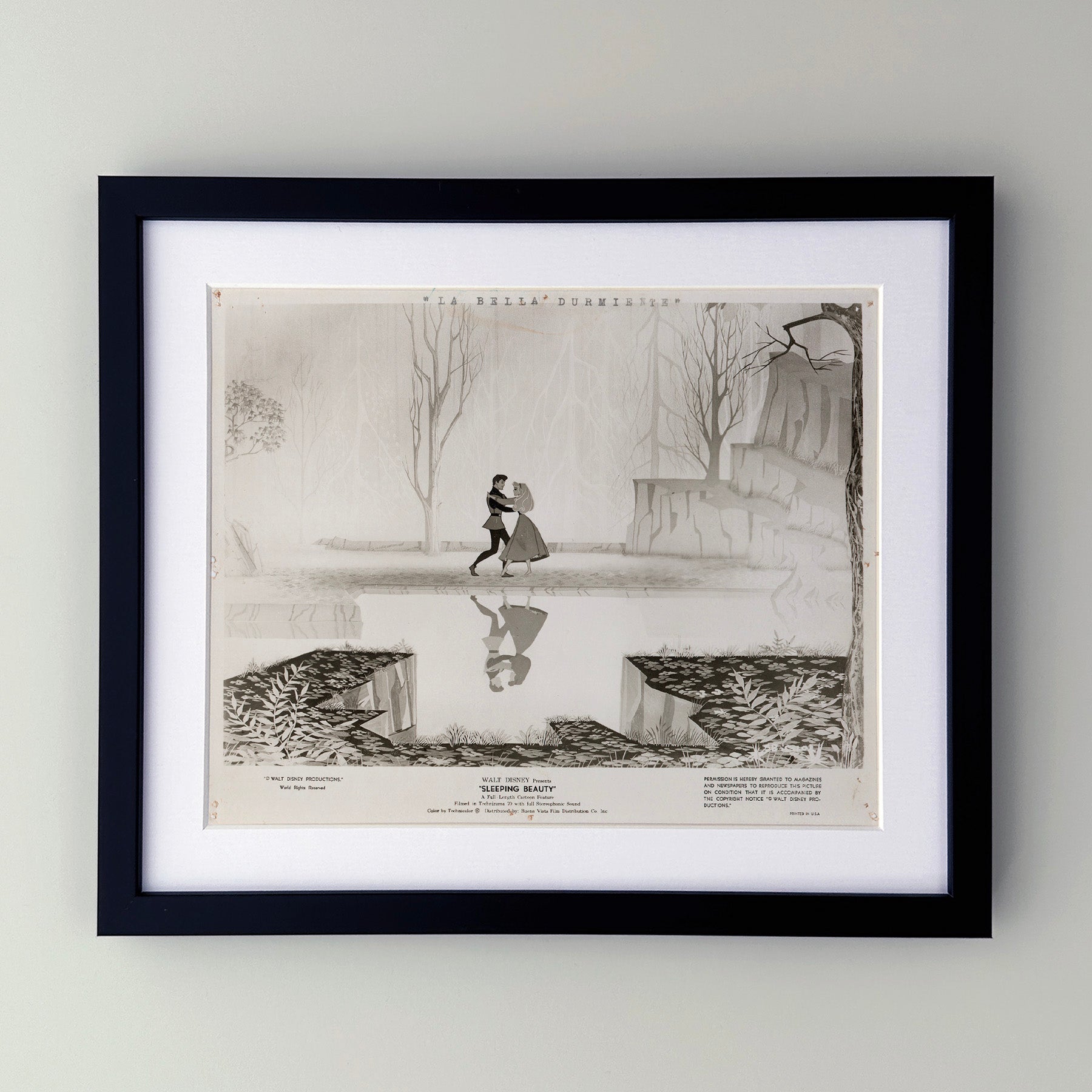 Sleeping Beauty 1959 Film Movie Press Publicity Still Framed