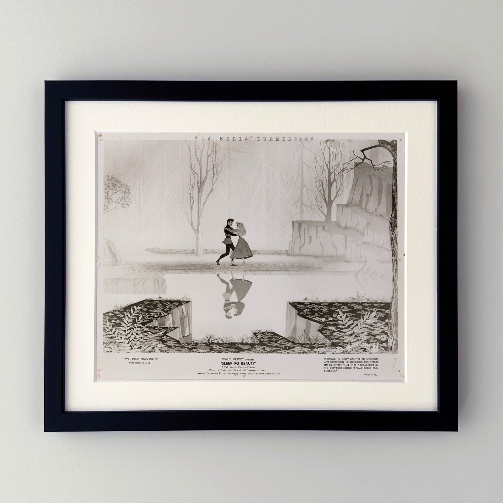 Sleeping Beauty 1959 Film Movie Press Publicity Still Framed