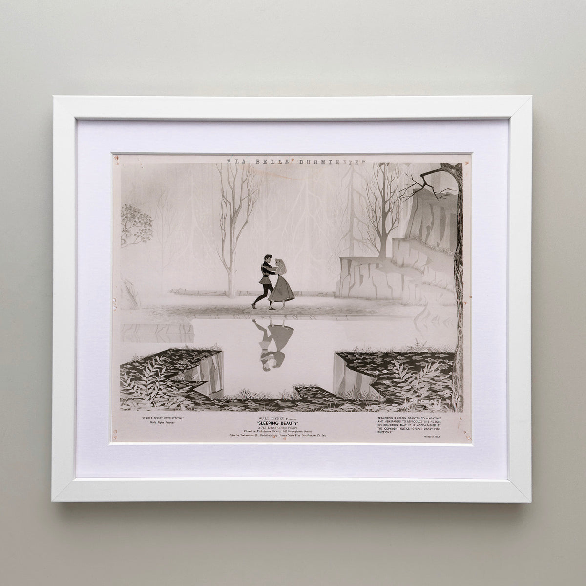 Sleeping Beauty 1959 Film Movie Press Publicity Still Framed