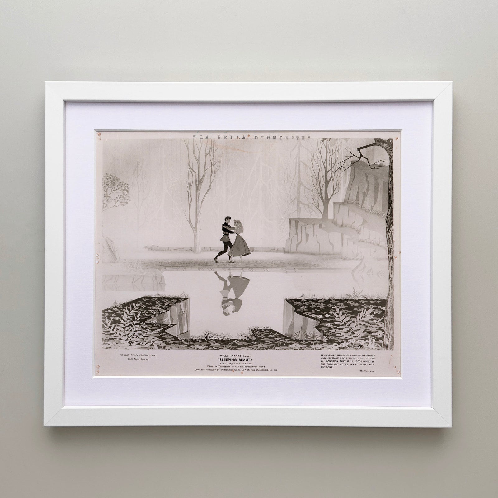 Sleeping Beauty 1959 Film Movie Press Publicity Still Framed