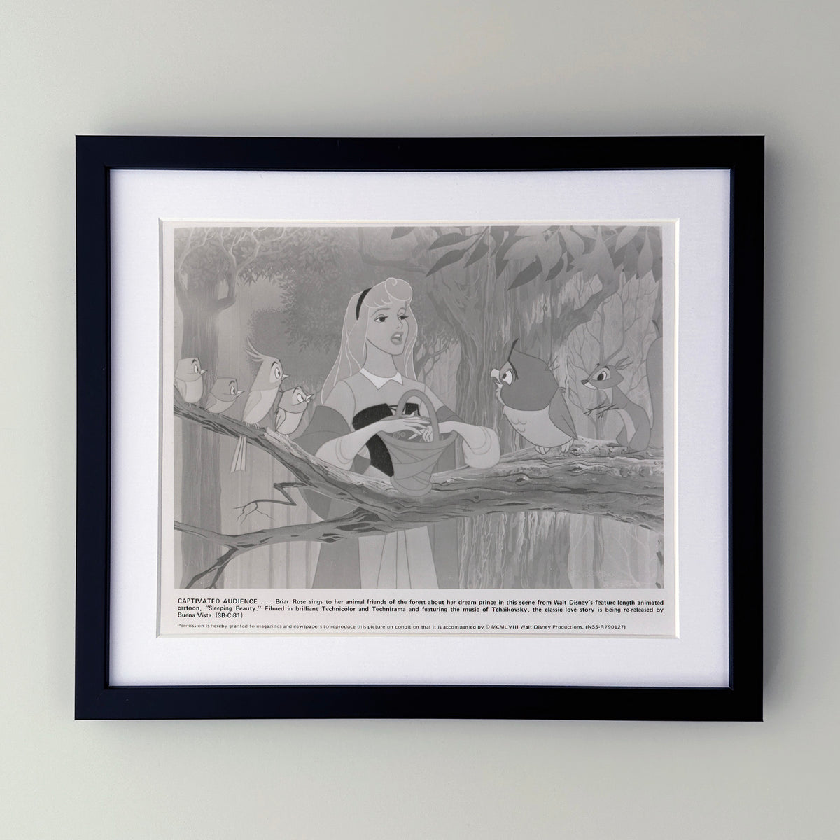 Sleeping Beauty 1959 Film Movie Press Publicity Still Framed