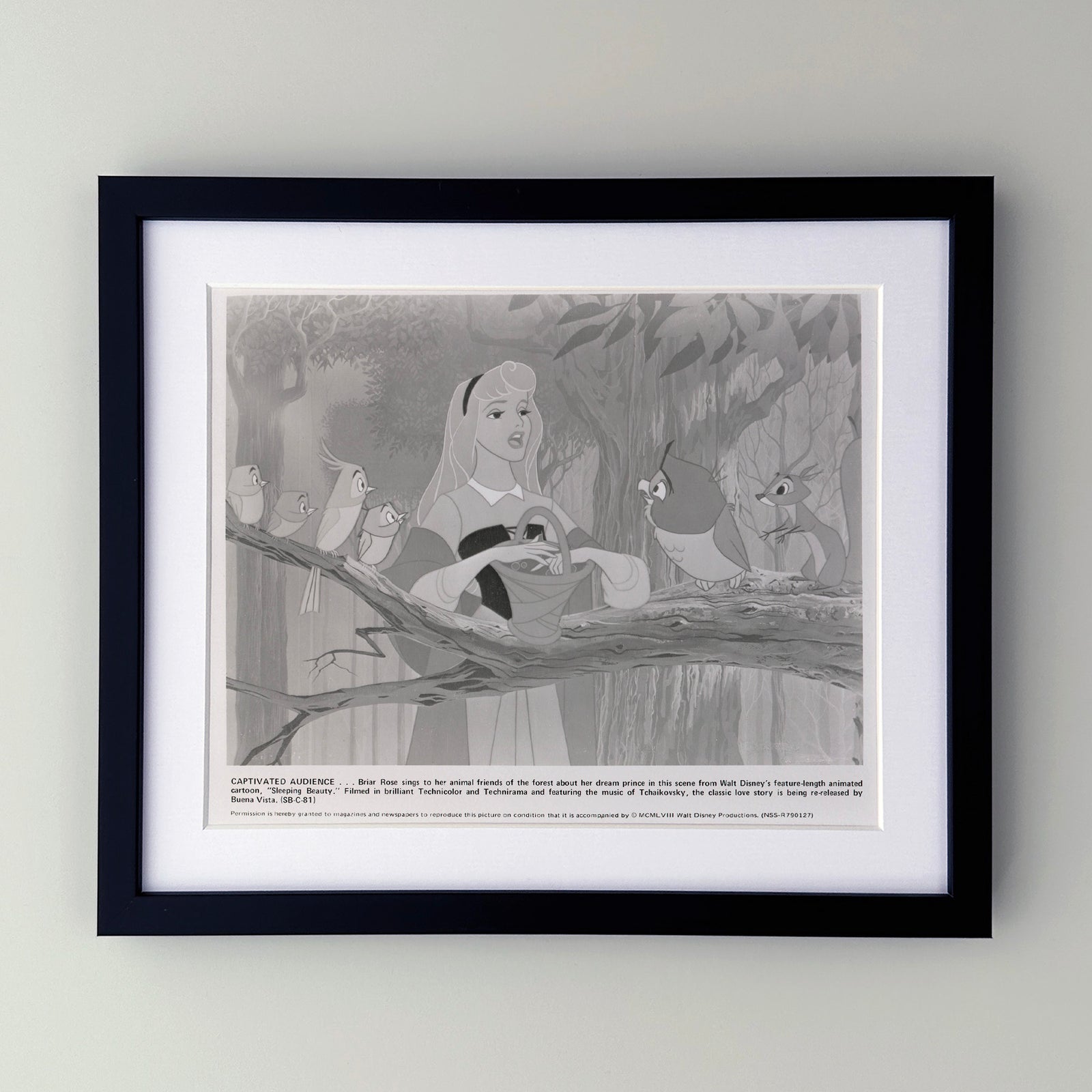 Sleeping Beauty 1959 Film Movie Press Publicity Still Framed