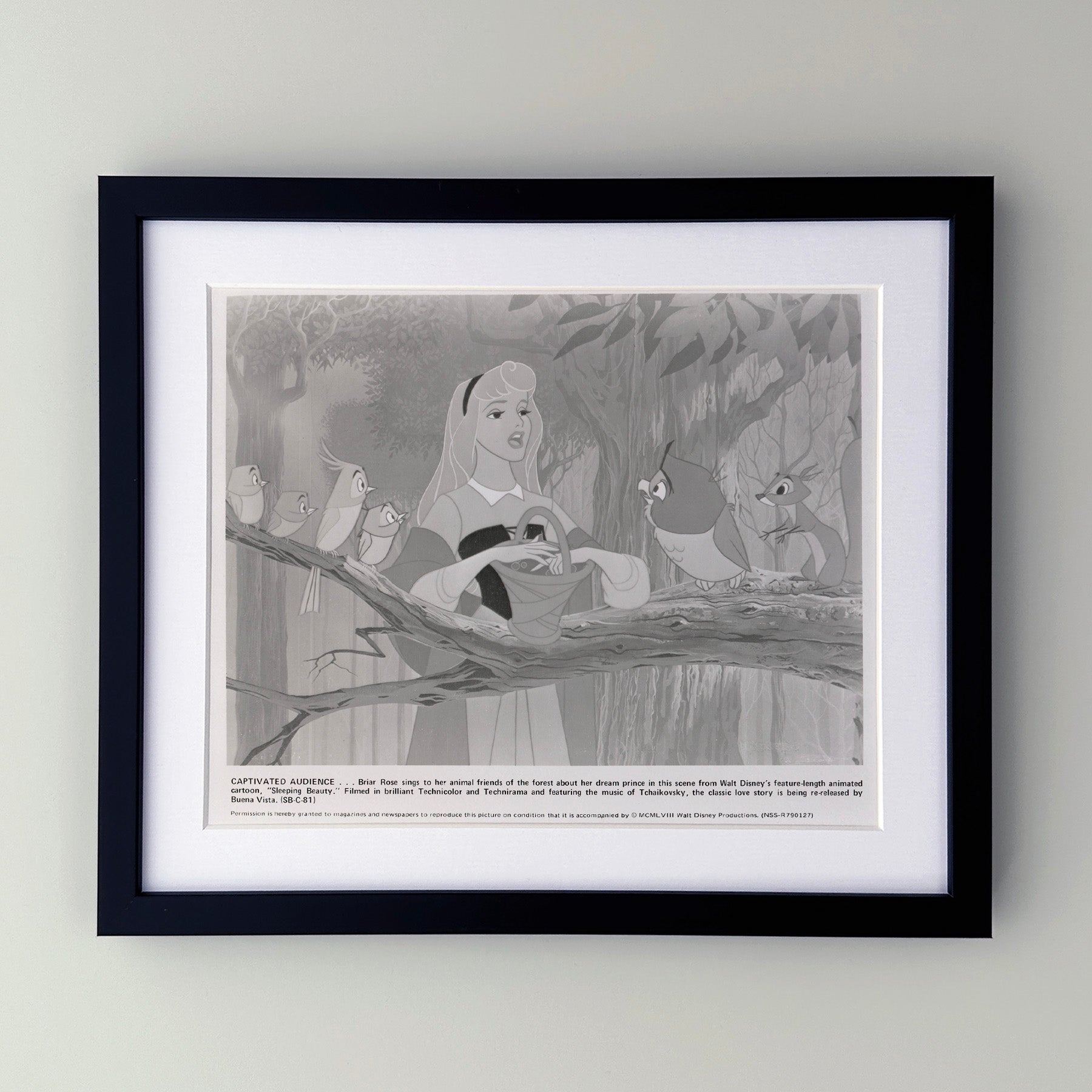 Sleeping Beauty 1959 Film Movie Press Publicity Still Framed