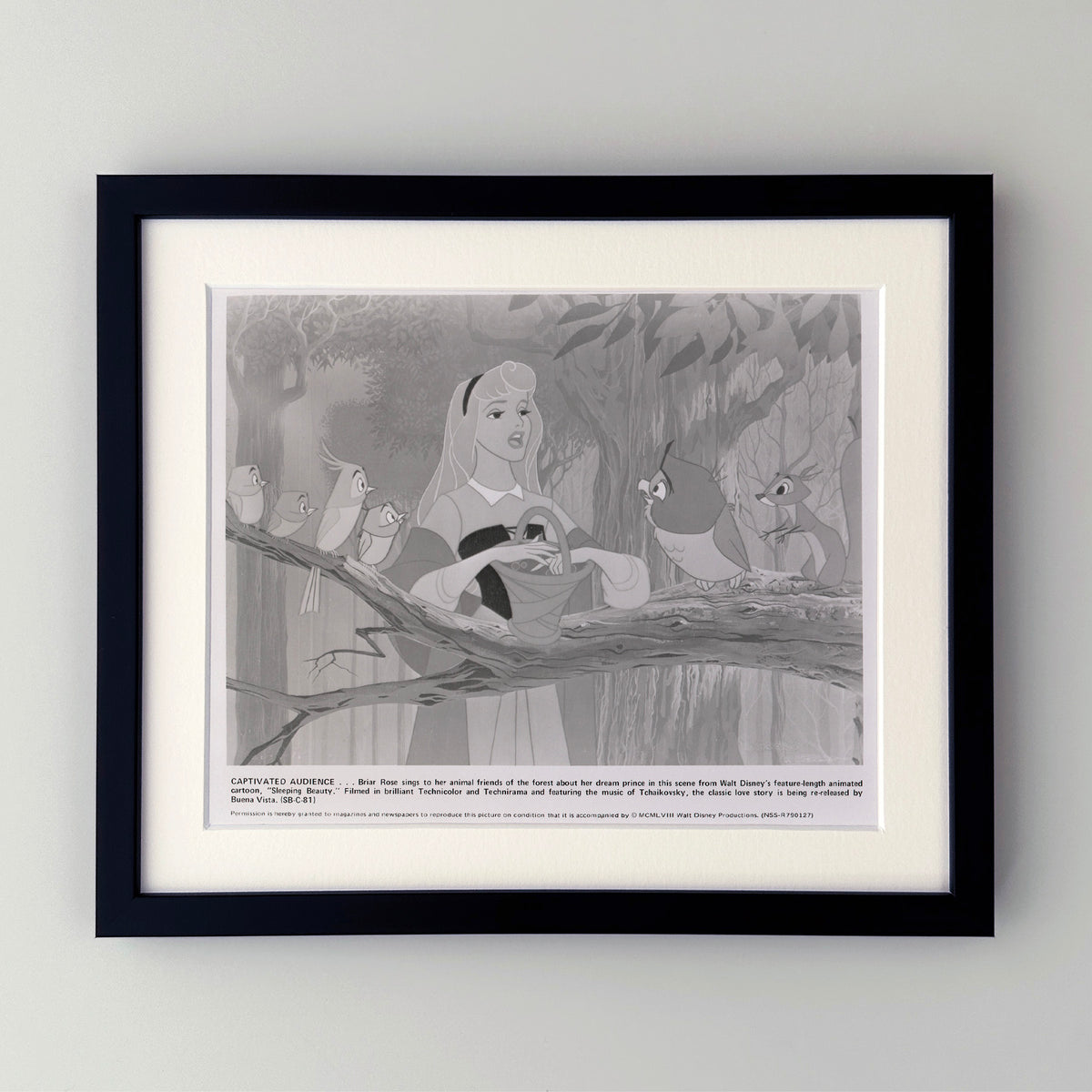 Sleeping Beauty 1959 Film Movie Press Publicity Still Framed